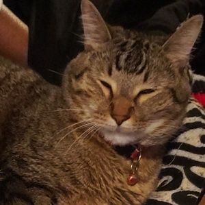 Meet your Posher, Champ